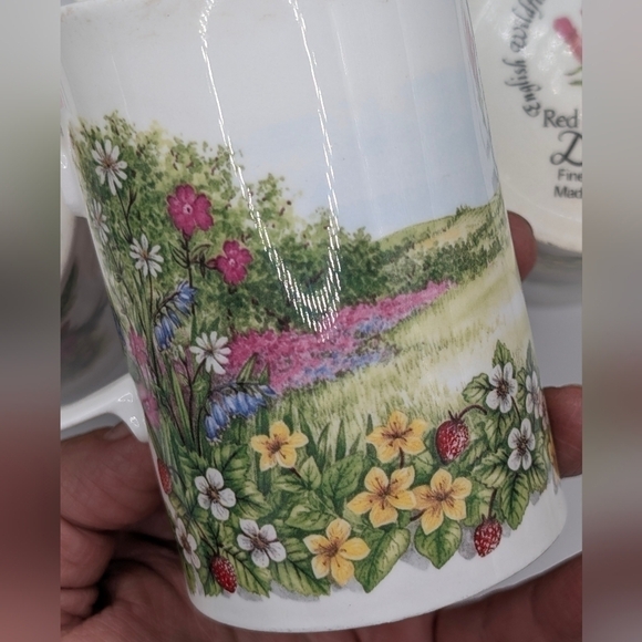 Dunoon Red Campion Fine China 10 Oz Mug Set English Wildflowers Jane Fern - Picture 11 of 12